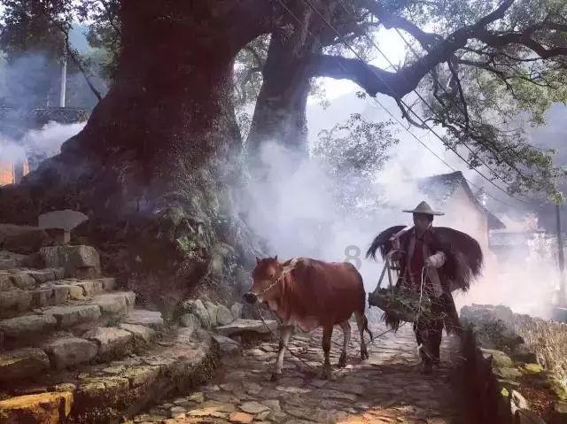 归家异途