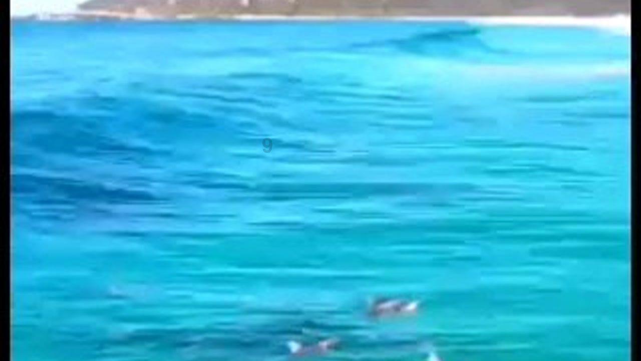 神之浩劫