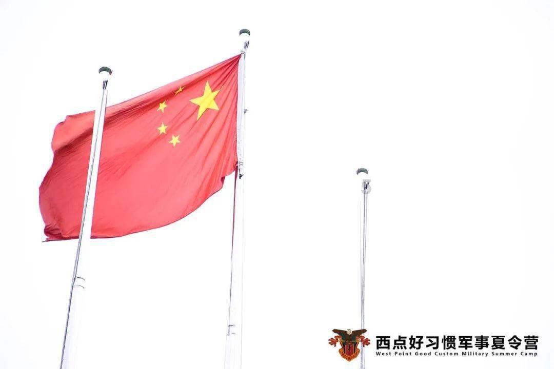 细胞分裂6
